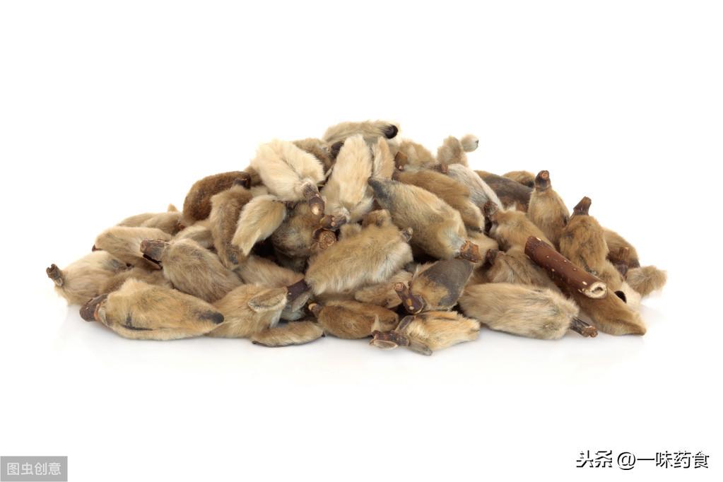 玉兰片和竹笋有什么区别呢-11
