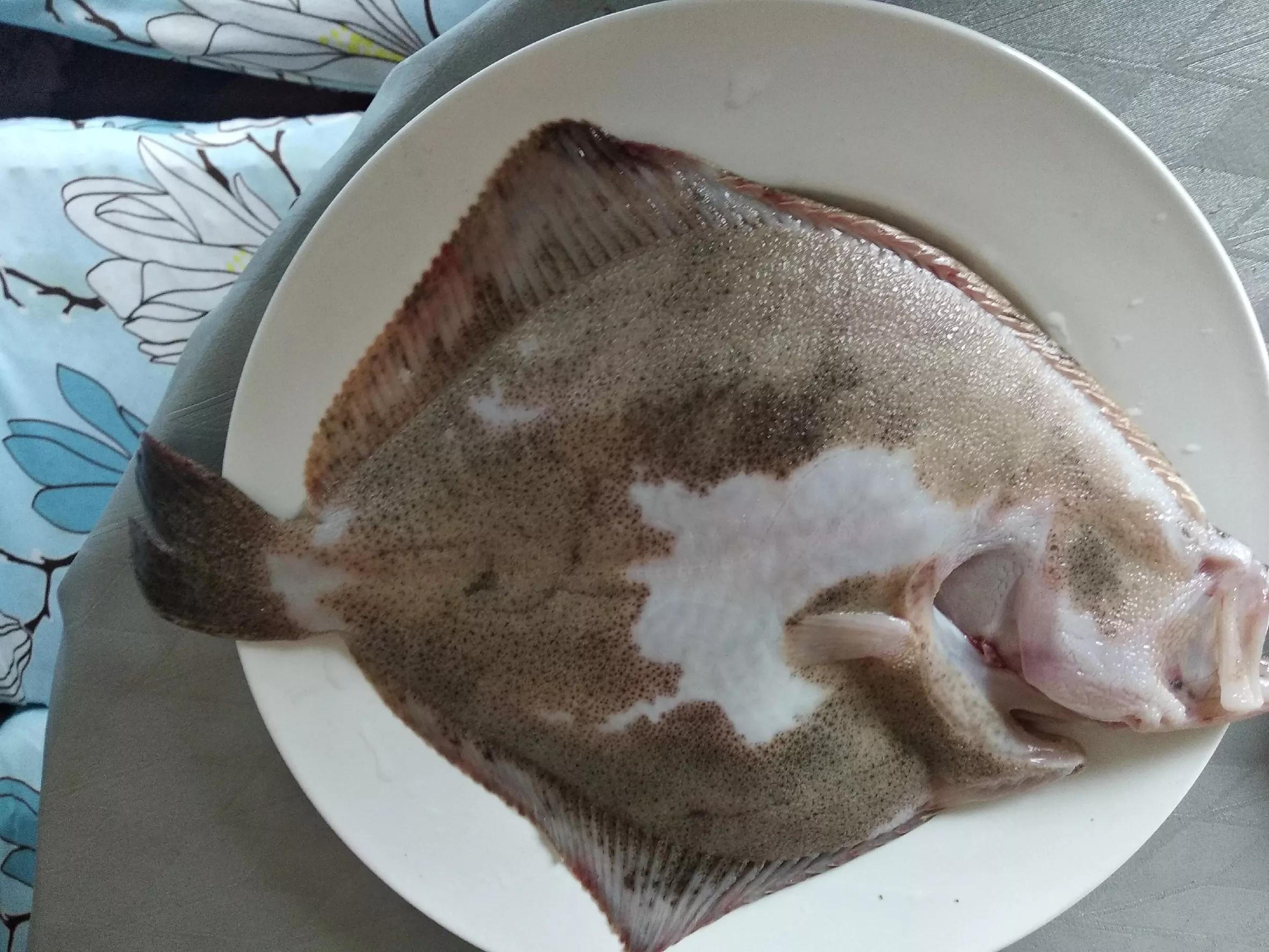 鲽鱼和鲆鱼的区别在哪里？-6