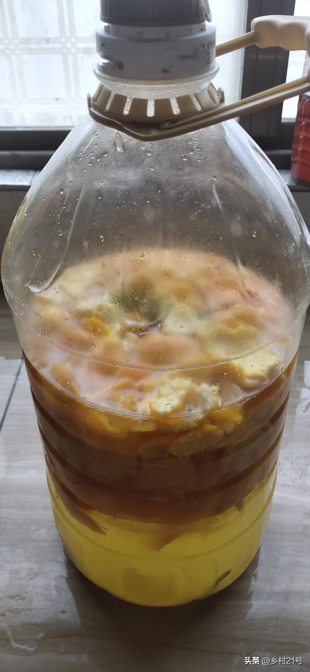 家庭自制水果酵素的做法（家庭如何自制酵素）-3