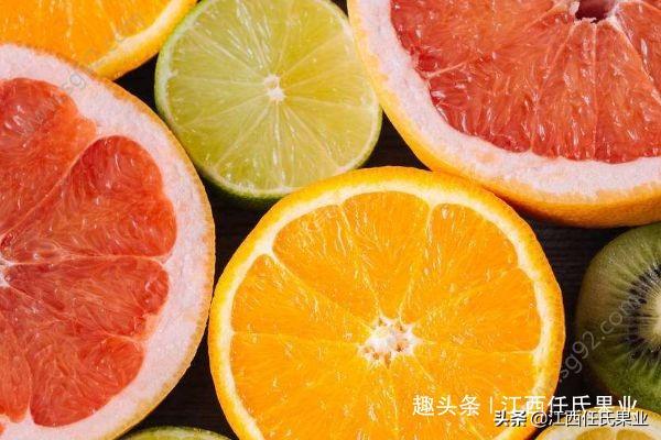葡萄柚的正确吃法图解（葡萄柚怎么吃不苦）-4