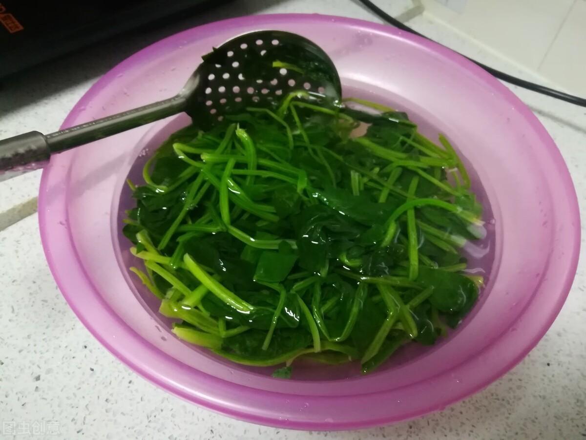 生菜需要焯水吗几分钟（焯生菜需要多长时间）-5