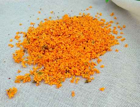 怎样腌制桂花糖窍门窍门-2