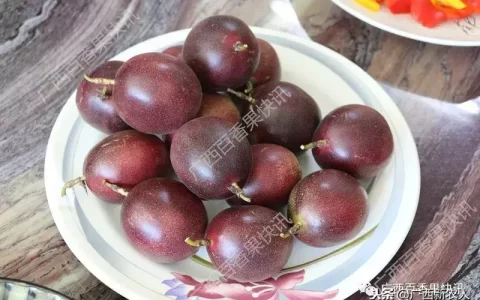 百香果为什么不能带壳放冷藏（百香果最佳保存方法）