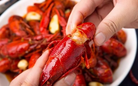 买小龙虾怎么挑选肥的（小龙虾如何选才好）