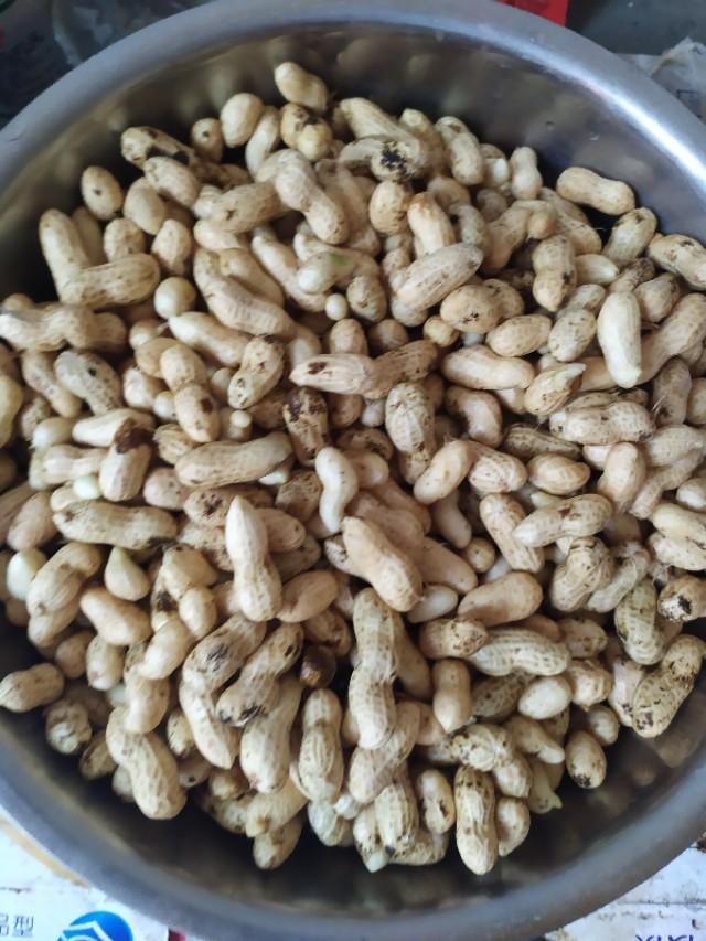 毛豆花生煮多长时间能熟-3