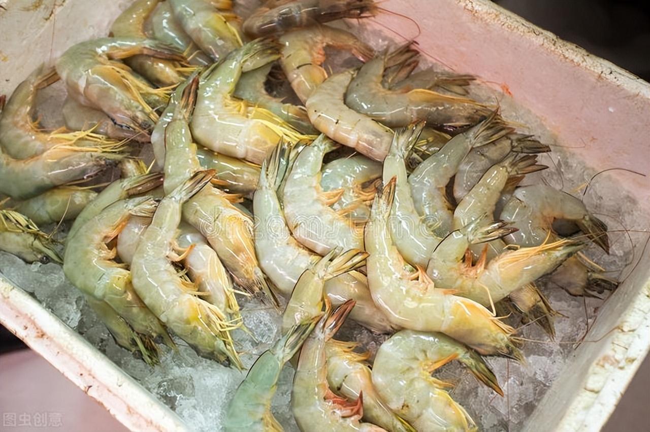 明虾和对虾哪个更好（基围虾和对虾的区别解析）-10