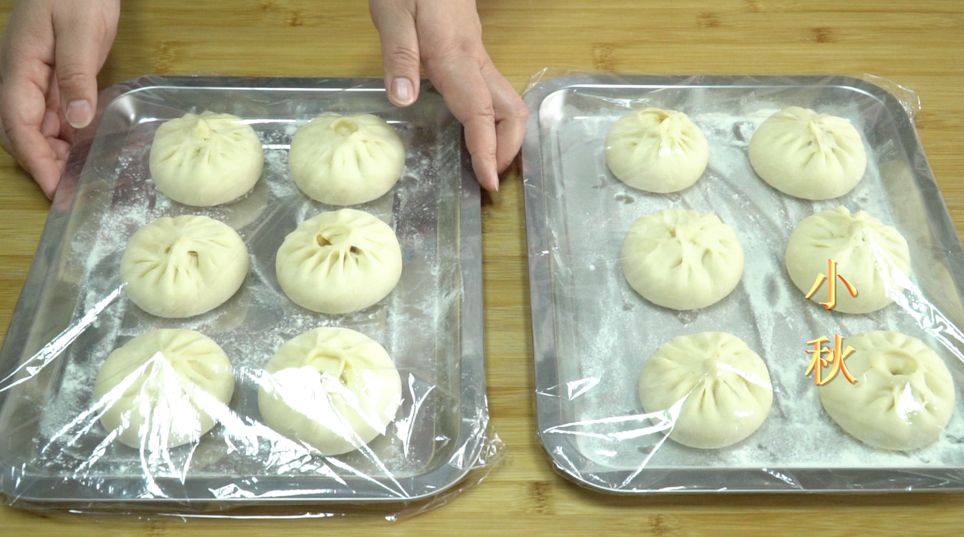 包子放冷冻后直接拿出来蒸可以吗？-11