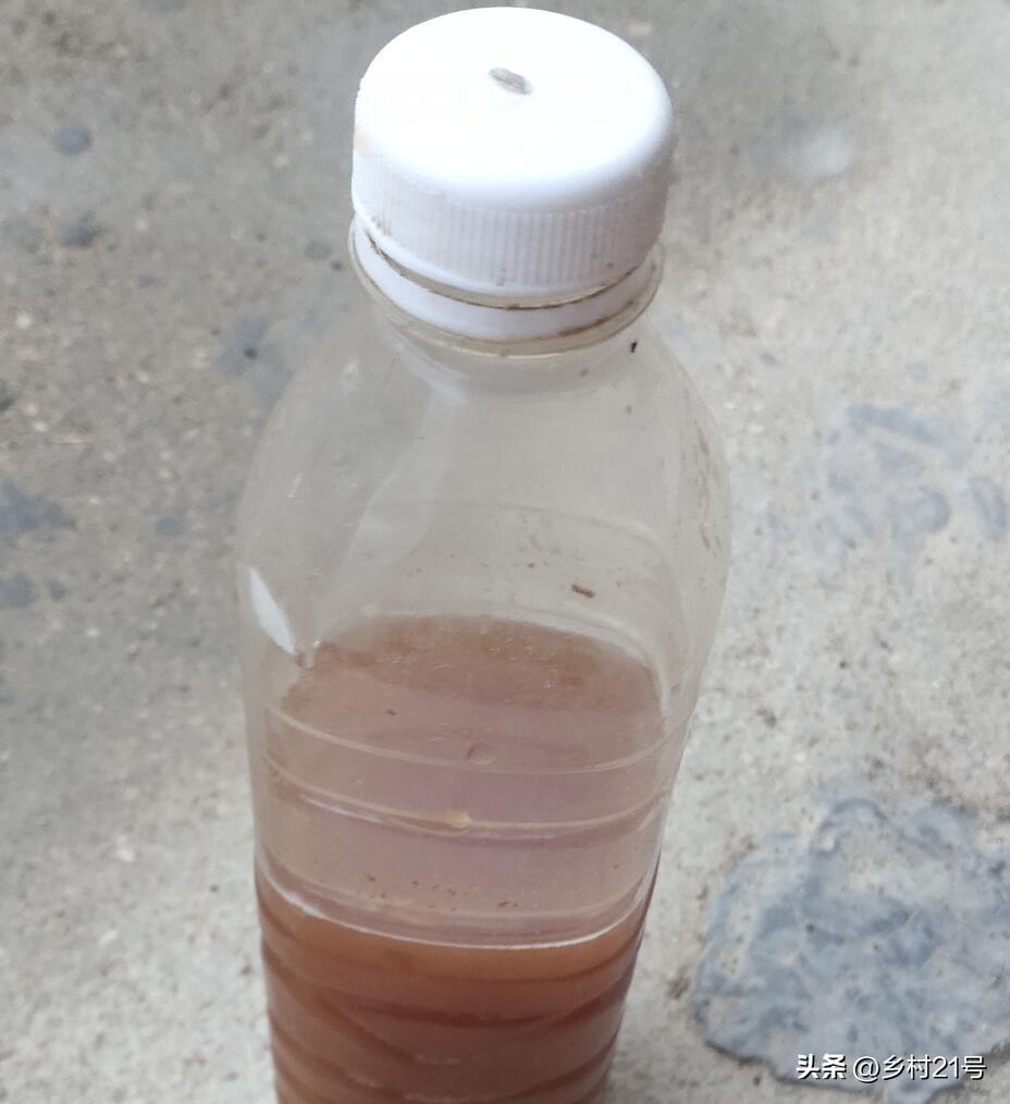 家庭自制水果酵素的做法（家庭如何自制酵素）-6