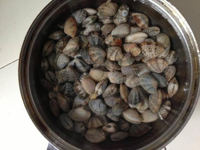 炒花甲需要先焯水吗（炒花甲用焯水吗）-3