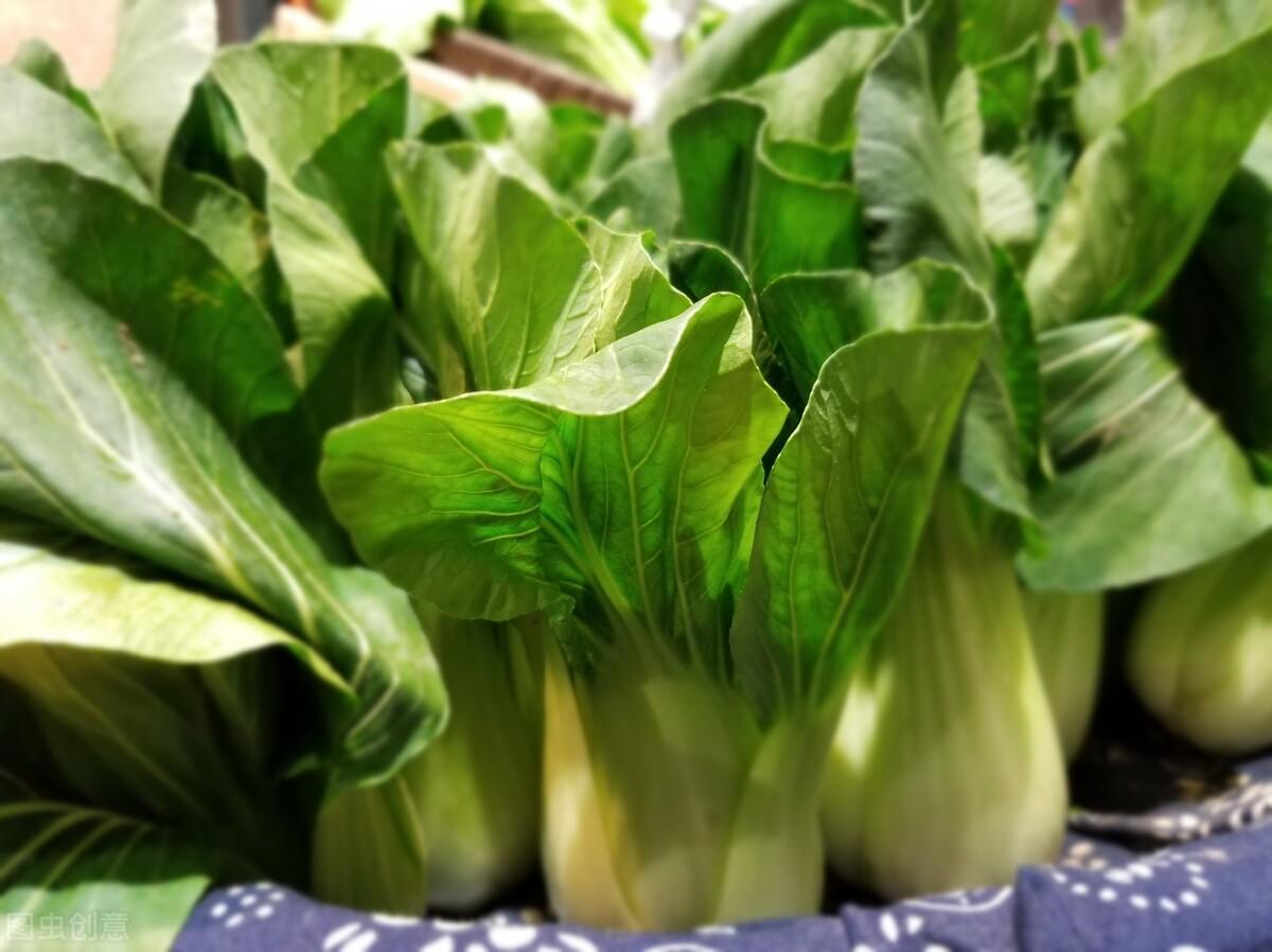 生菜需要焯水吗几分钟（焯生菜需要多长时间）-4