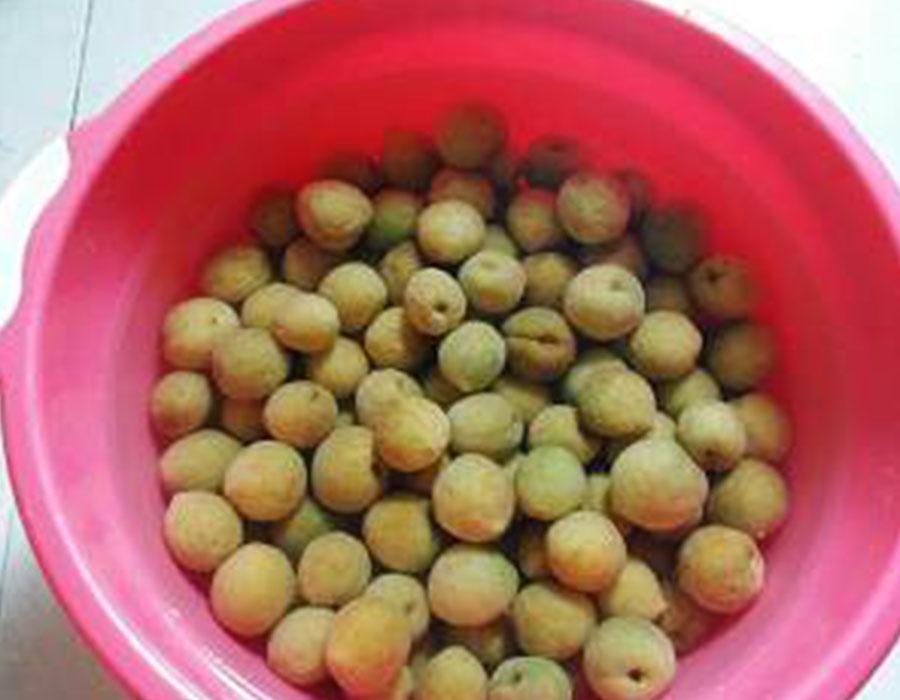 话梅的制作方法全过程（话梅饮料做法大全）-4