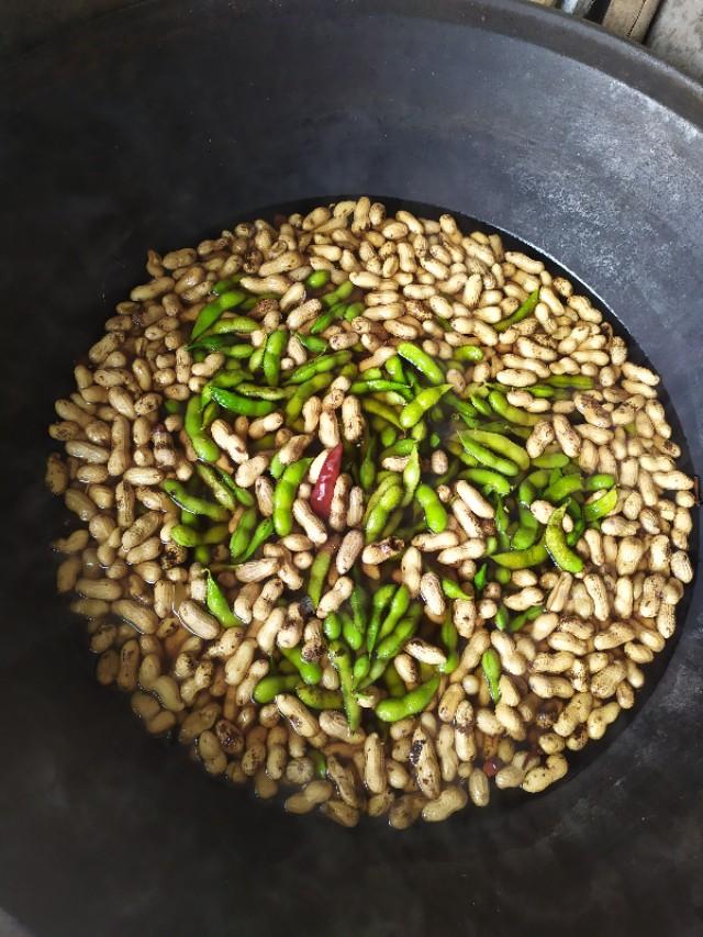 毛豆花生煮多长时间能熟-5