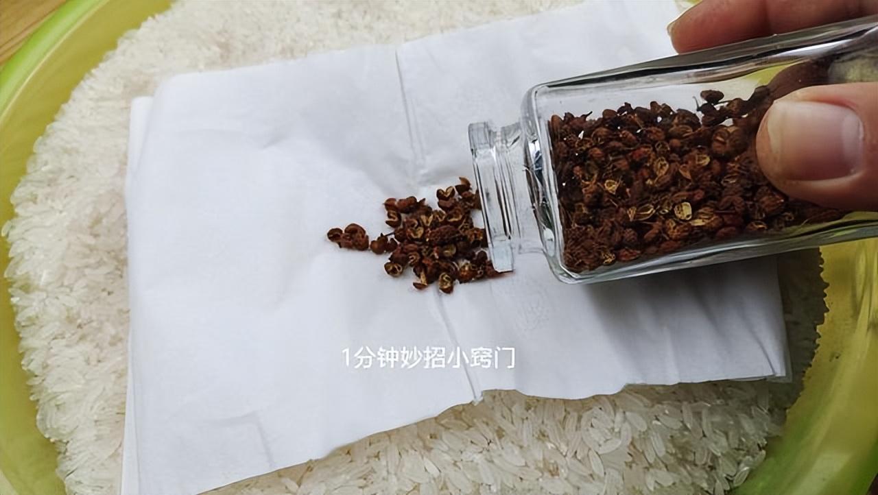 如何预防大米里长虫子（大米放哪里不容易生虫）-2