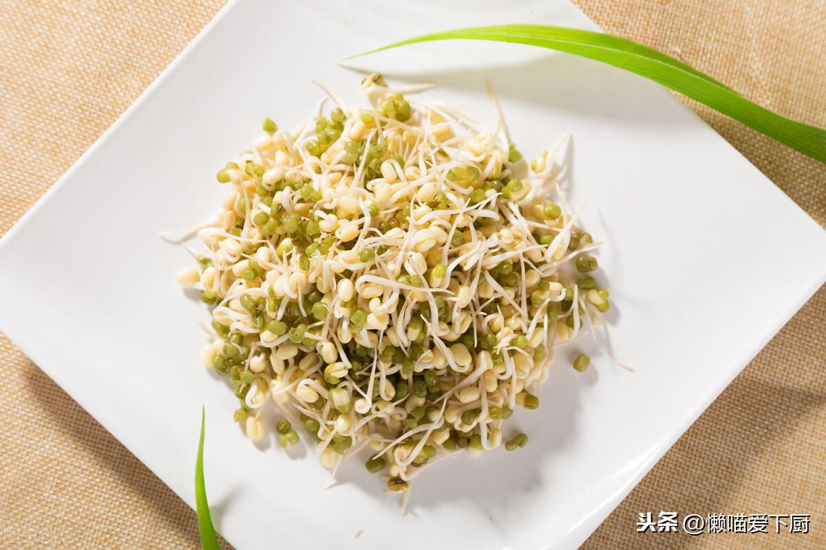 豆芽放冰箱可以保存几天（豆芽一般能在冰箱放几天）-7
