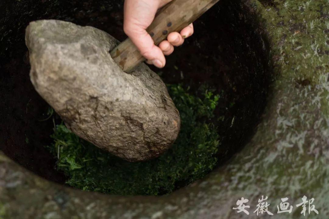 蒿子粑粑是哪里的特产-7