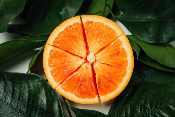 面粉需要放冰箱吗（食物储存指南）-1