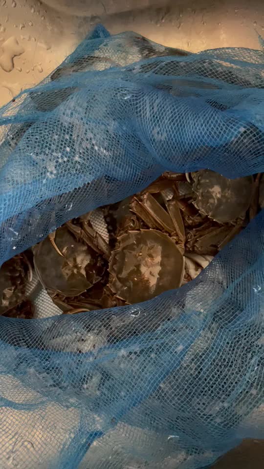 怎样做河蟹好吃又简单（河蟹的正确蒸法）-1