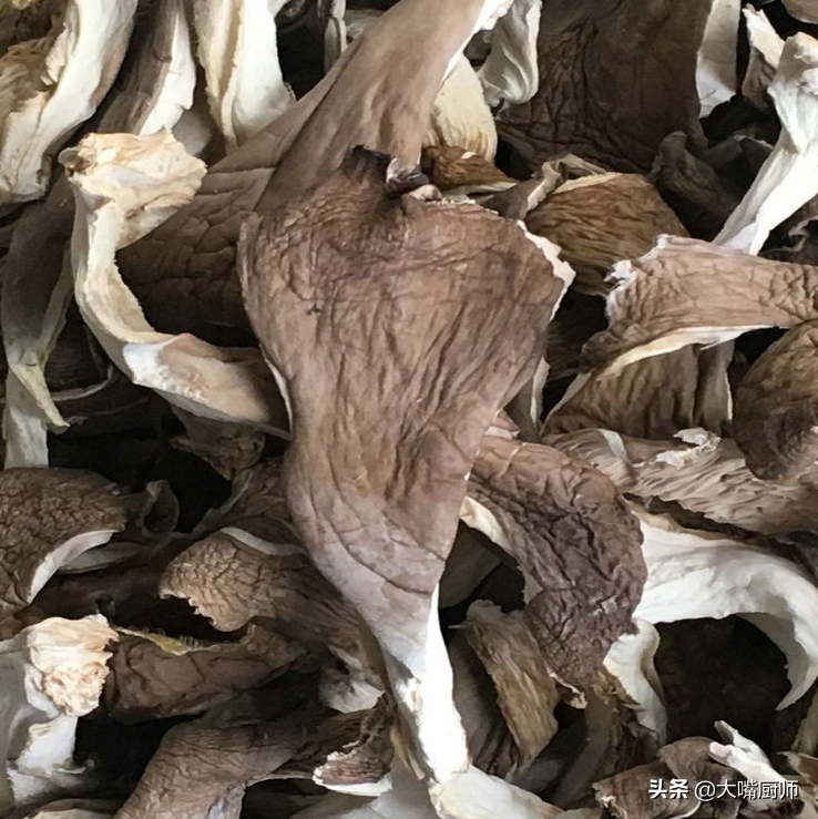 平菇可以放冰箱冷藏几天（平菇能否放冰箱）-9