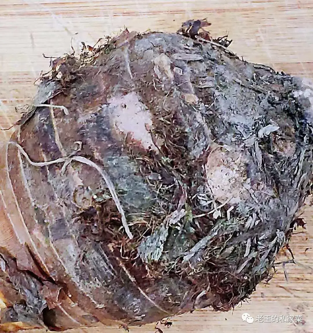 广西荔浦芋头怎么做好吃（荔浦芋头最简单清蒸做法）-2