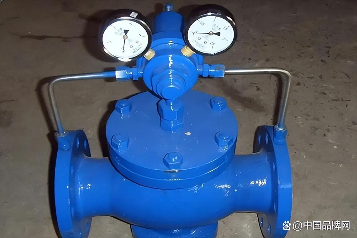 减压阀十大品牌排行榜 减压阀哪个品牌质量好-5