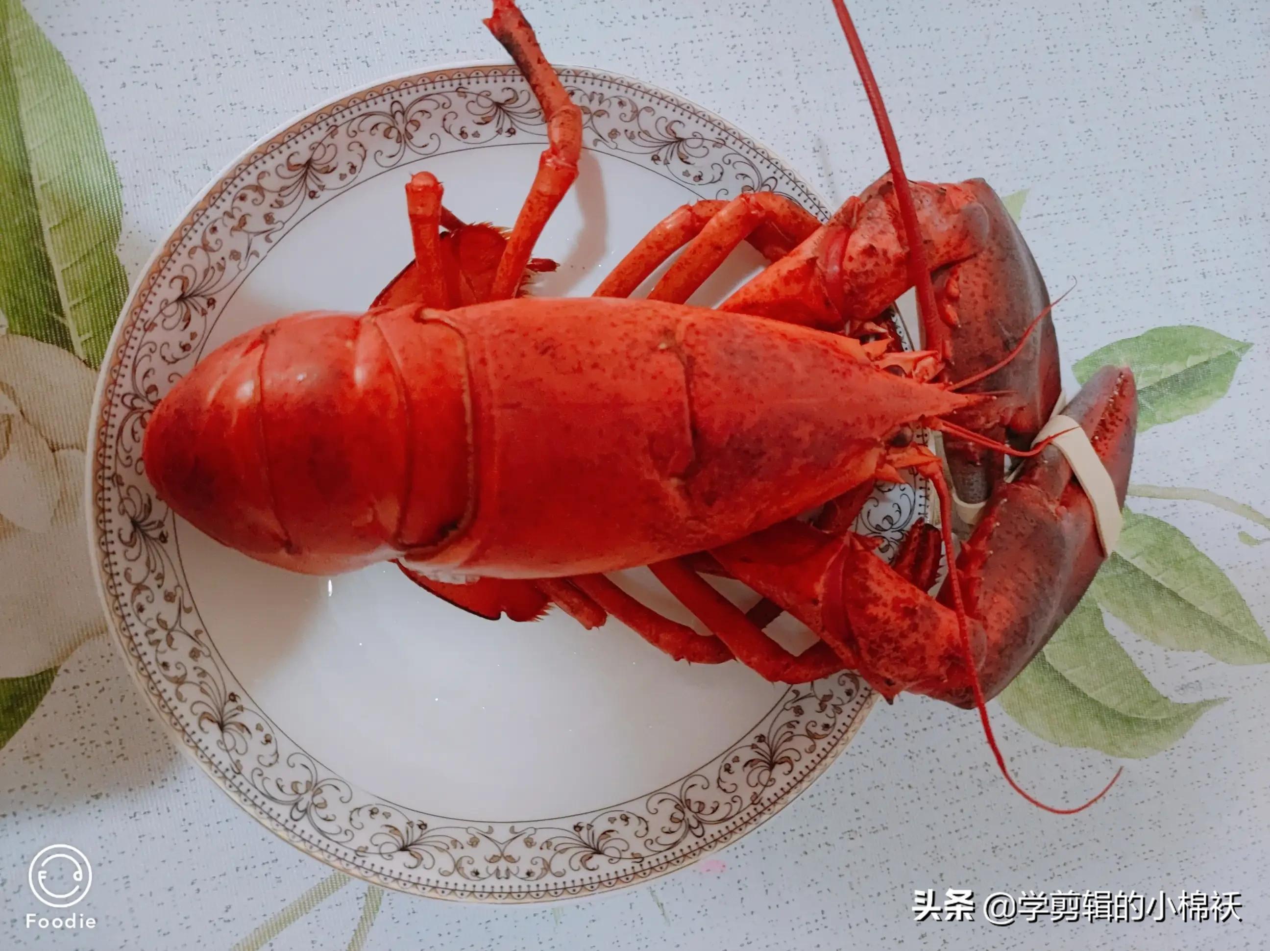 清蒸小青龙龙虾做法大全（波士顿小龙虾在家怎么做）-3