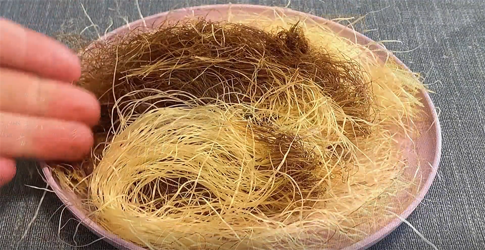 玉米须怎么煮水喝方法（玉米须用开水泡还是煮）-7