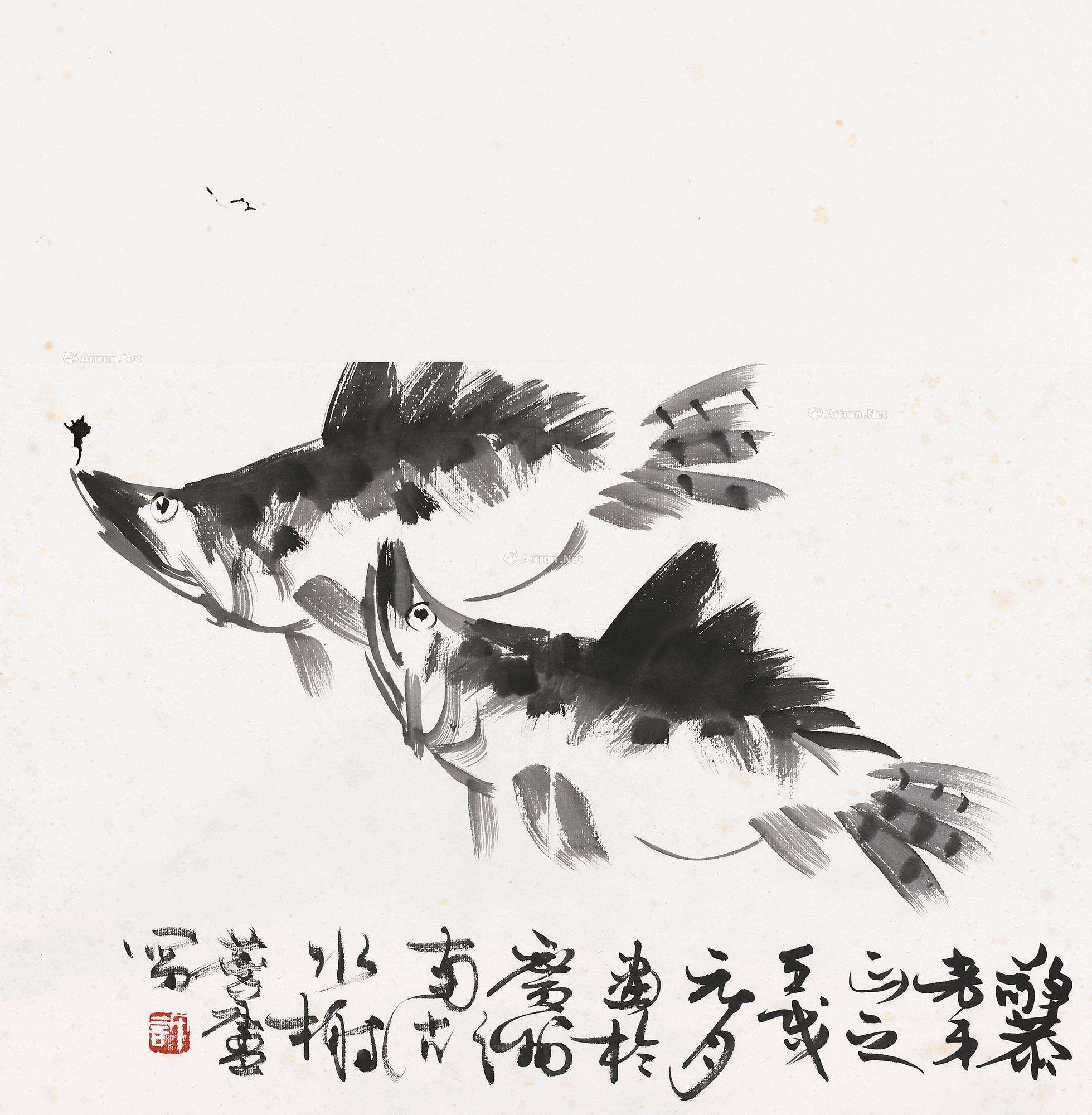 季鱼是什么鱼（季花鱼一年能长多重）-5