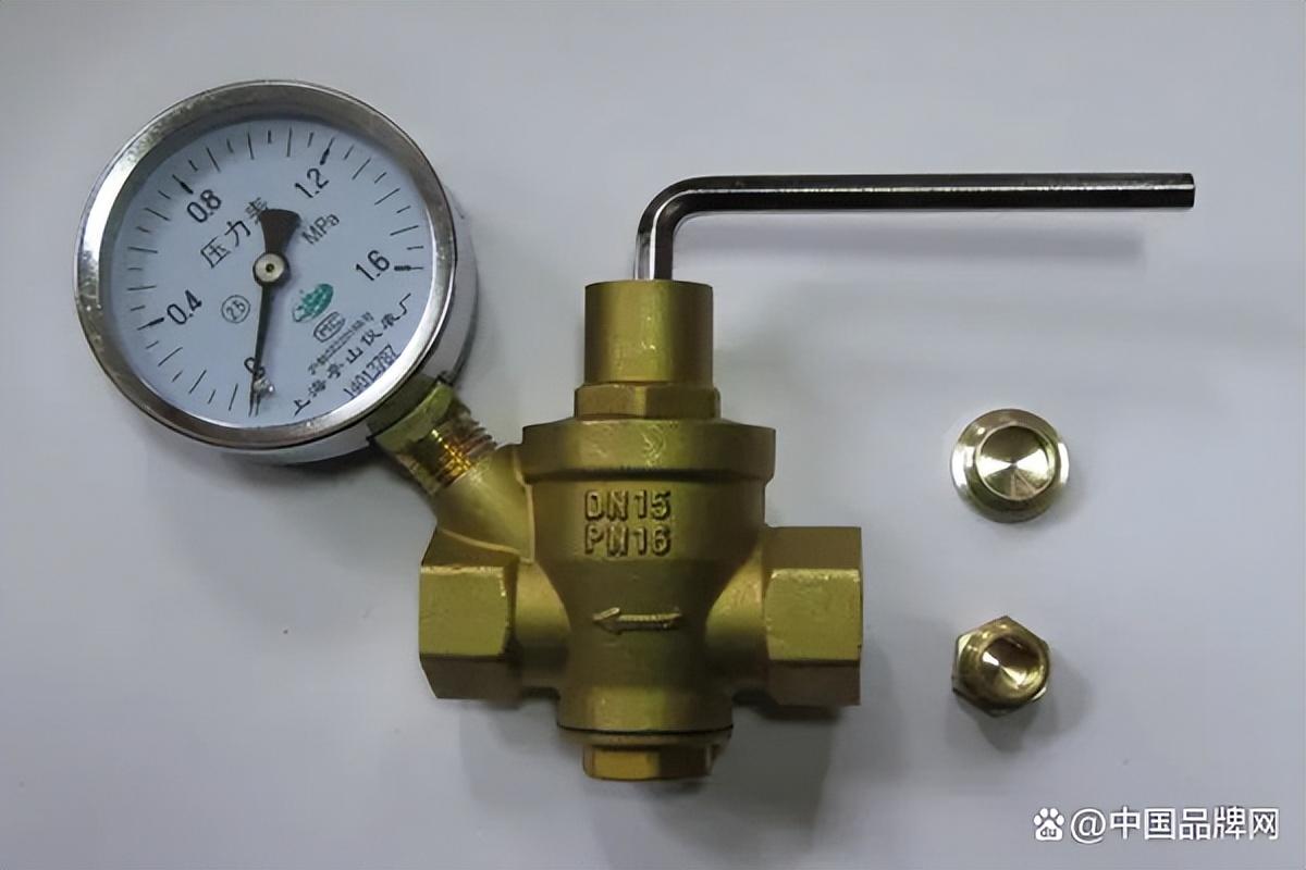 减压阀十大品牌排行榜 减压阀哪个品牌质量好-4