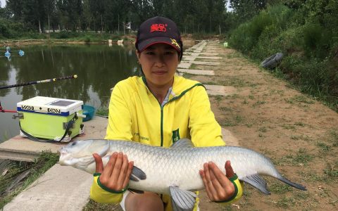 冬天钓青鱼用什么钓最好（冬天钓青鱼技巧）