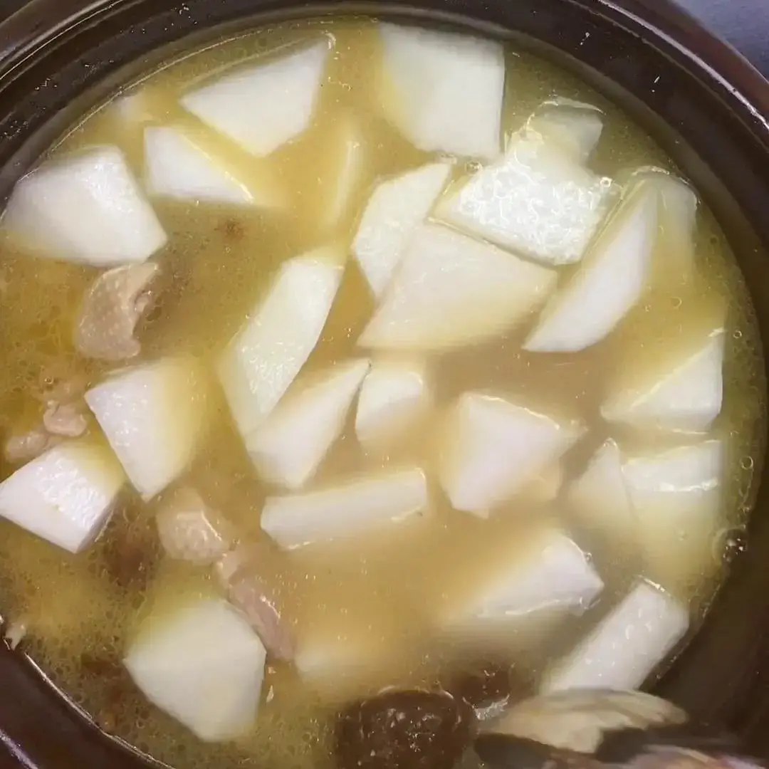 鸭肉与什么搭配煲汤最好（新鲜鸭子怎么炖汤好吃）-6