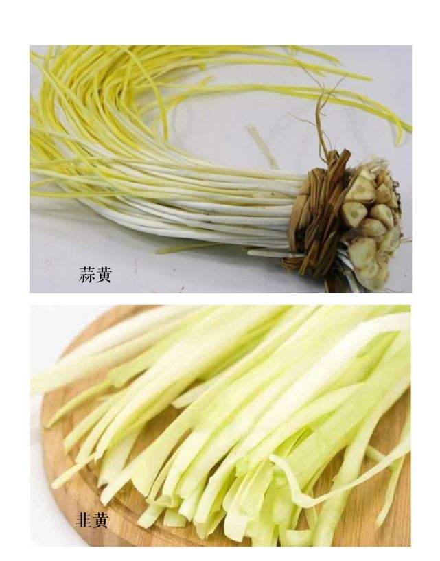 蒜黄和蒜苗是什么关系（蒜黄和蒜苔的区别是什么）-10