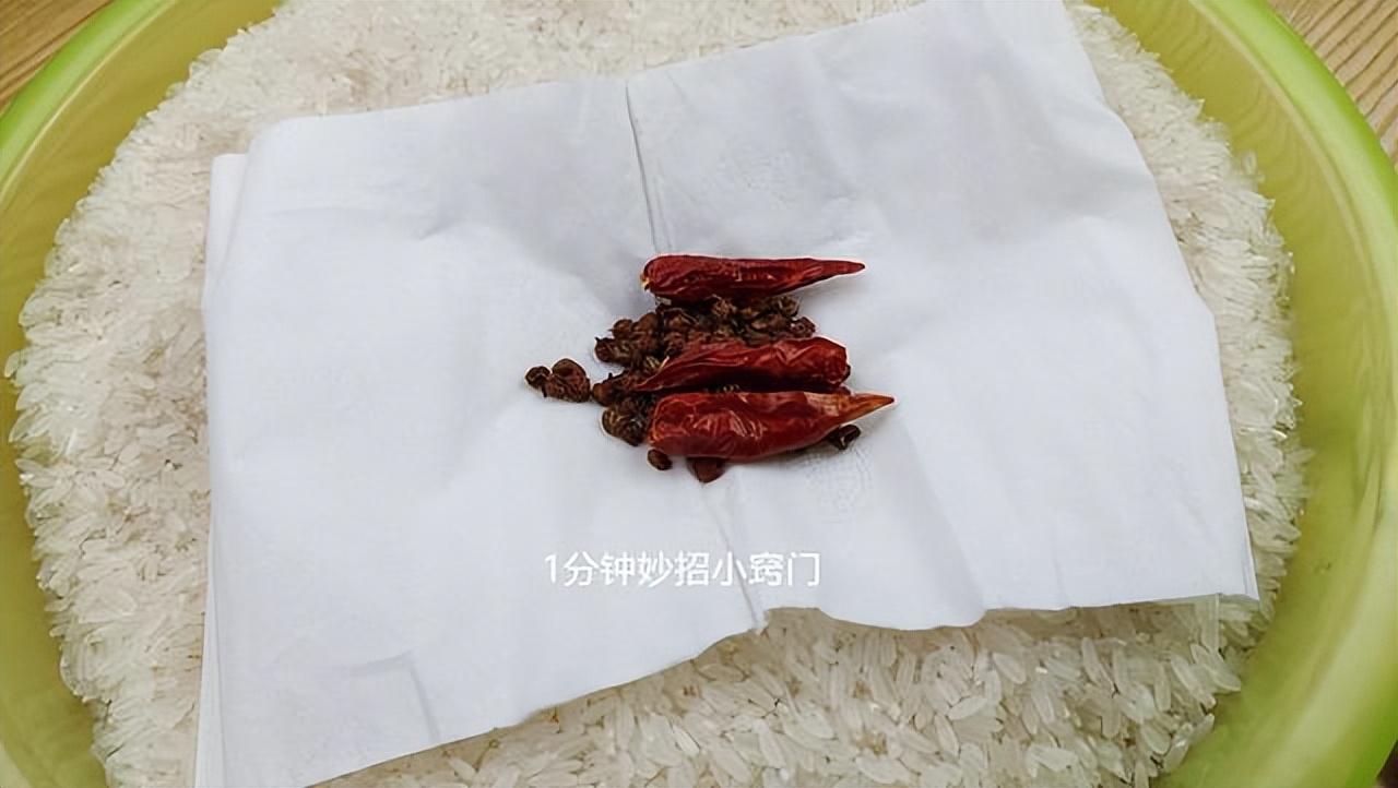 如何预防大米里长虫子（大米放哪里不容易生虫）-3