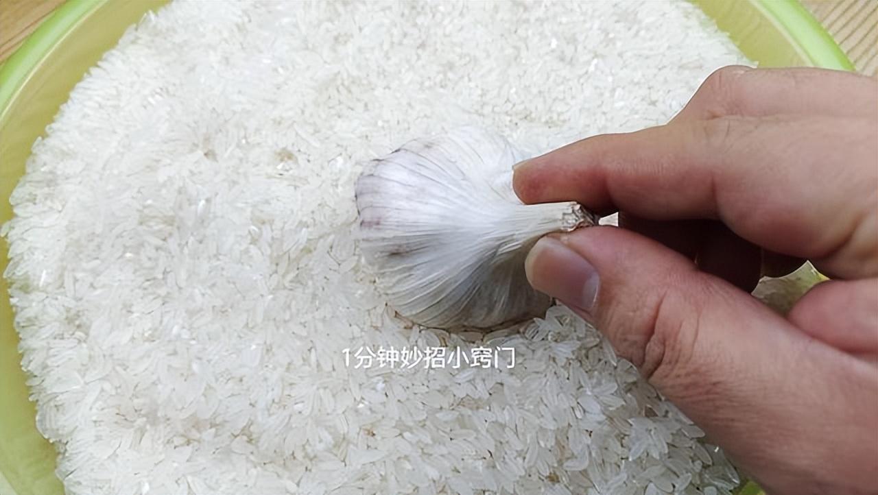如何预防大米里长虫子（大米放哪里不容易生虫）-4