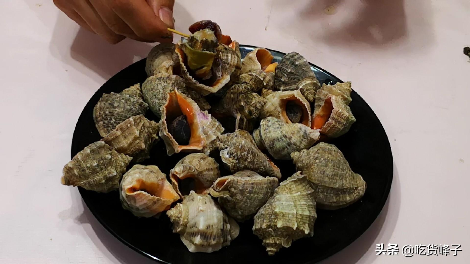 大海螺的正确吃法 图解-6