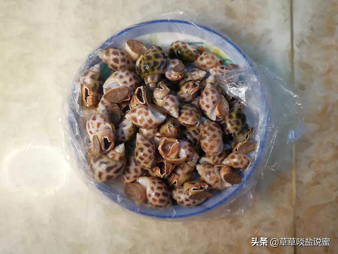 花螺是冷水下锅还是开水下锅？-4