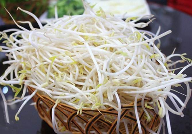 绿豆要泡多久才能发芽（绿豆要泡几个小时才可以种）-6