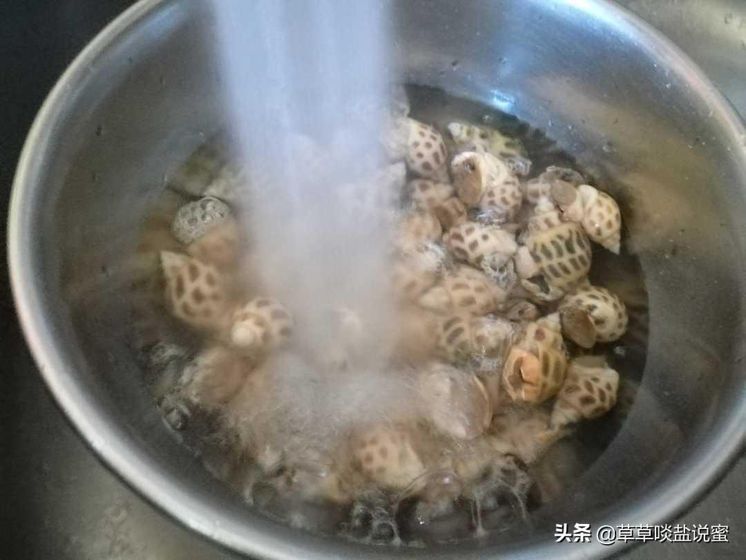 花螺是冷水下锅还是开水下锅？-7