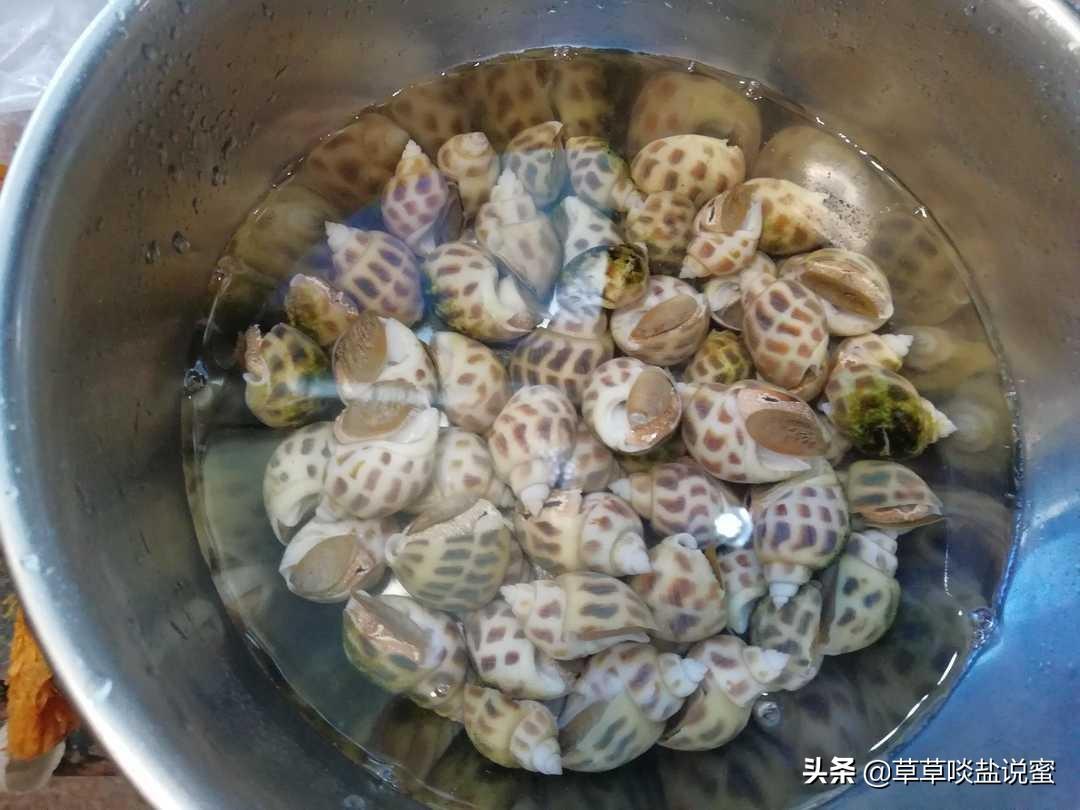 花螺是冷水下锅还是开水下锅？-6