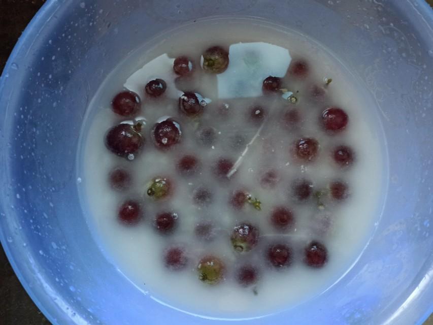 洗葡萄用淀粉好还是小苏打好（淀粉洗水果有什么好处）-5