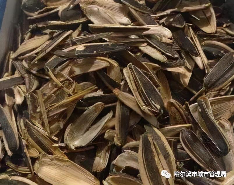 瓜子壳属于什么垃圾食品 瓜子壳可以做肥料吗-3