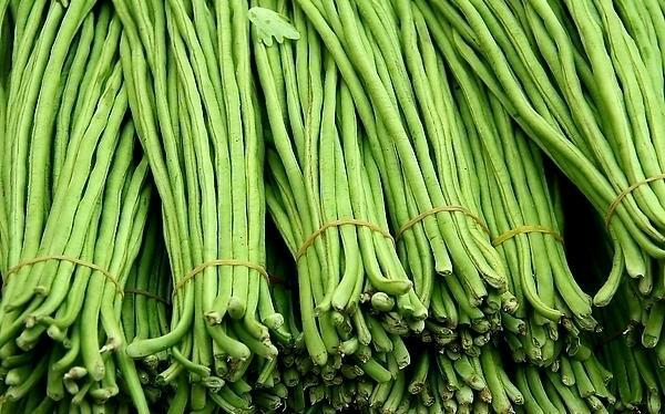 豇豆和豆角的区别是什么？-1