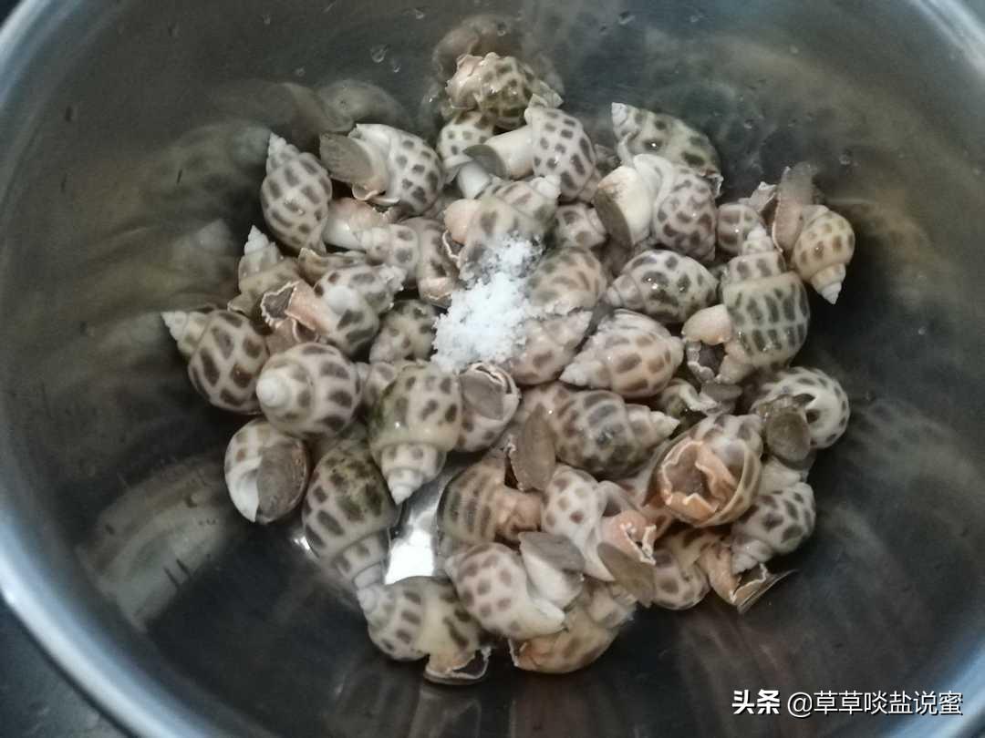 花螺是冷水下锅还是开水下锅？-5