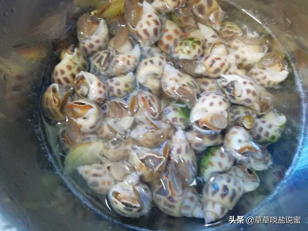花螺是冷水下锅还是开水下锅？-11