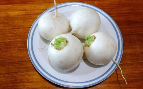 白萝卜可以存放冰箱吗（白萝卜泡菜的做法）