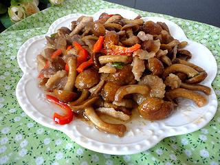 滑子蘑菇的做法大全集（滑子蘑菇用焯水吗）-11