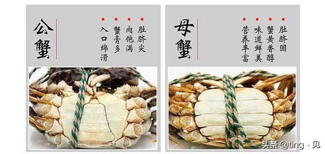 螃蟹开锅蒸还是冷水蒸？-2