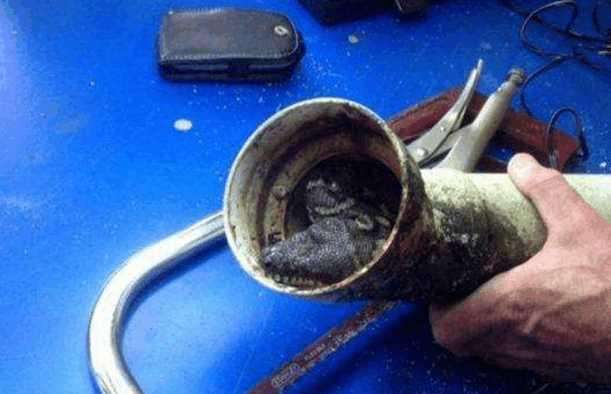 一楼下水道堵了物业负责吗，一楼单独的下水堵了谁疏通-4