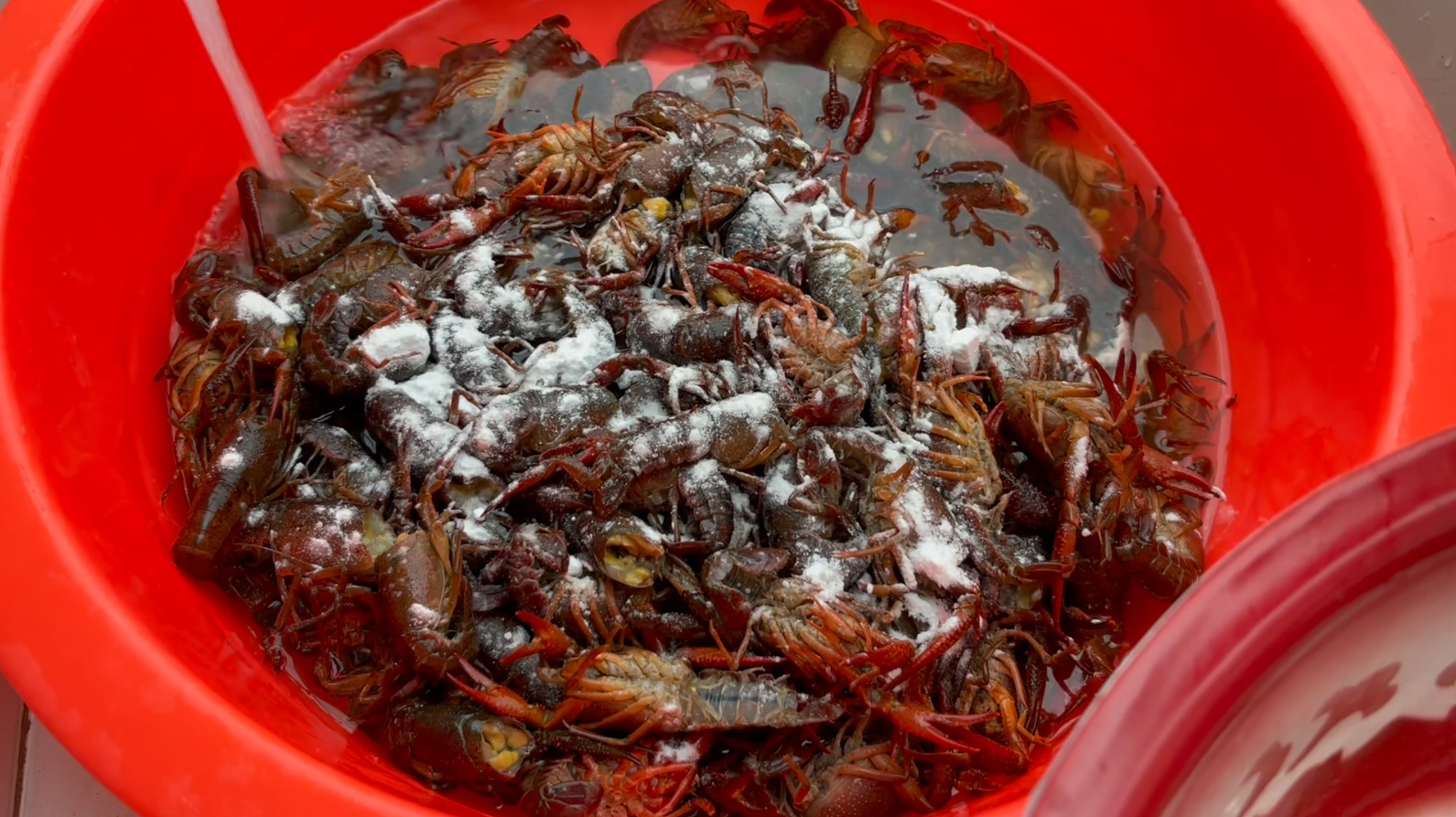 吃小龙虾最好的季节是几月份（比较好的龙虾怎么挑选）-9
