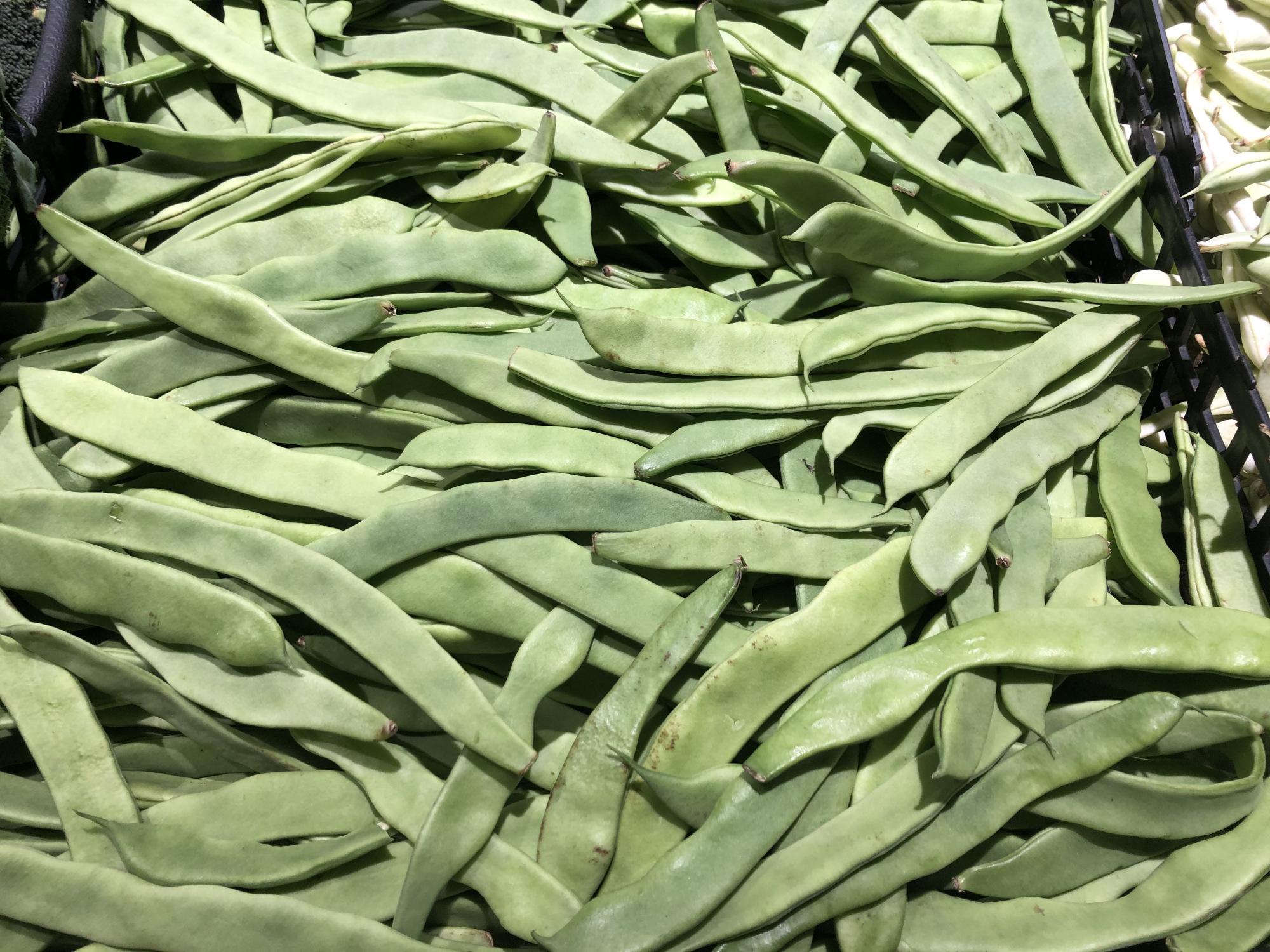 芸豆与四季豆有何区别？-8