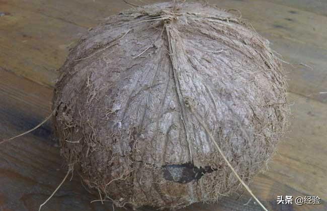 开椰子壳最简单的方法（怎么把椰子壳打开）-3